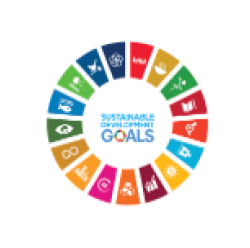 UN Sustainable Development Goals
