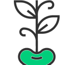 our